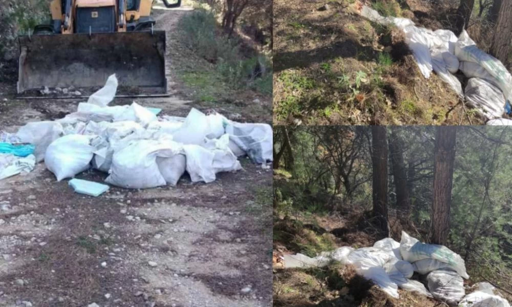 Ηγουμενίτσα: Σε σκουπιδότοπο μετέτρεψαν δάσος